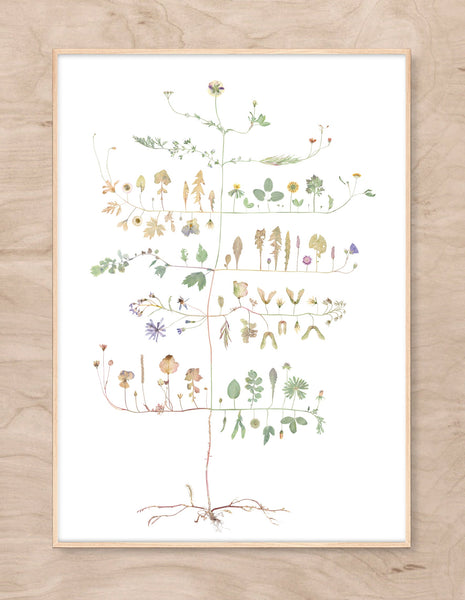 Lottas Trees - Ingrid's Tree print - Smukt Print af Lotta Ohlsson