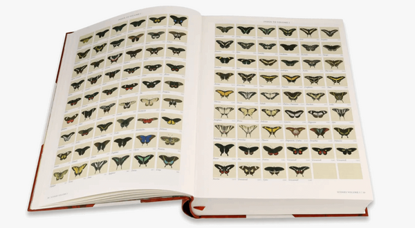 Iconotypees - Butterflies & Moths Book