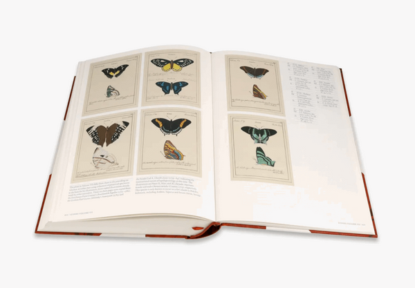 Iconotypees - Butterflies & Moths Book