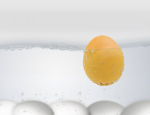 Moo BeepEgg Egg Timer - Æggetimer