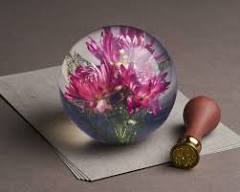 Helichrysum Pink Paperweight