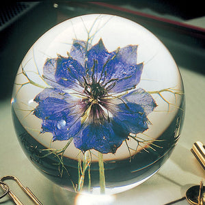 Nigella paper weight