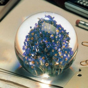 Forget-Me-Not paper weight