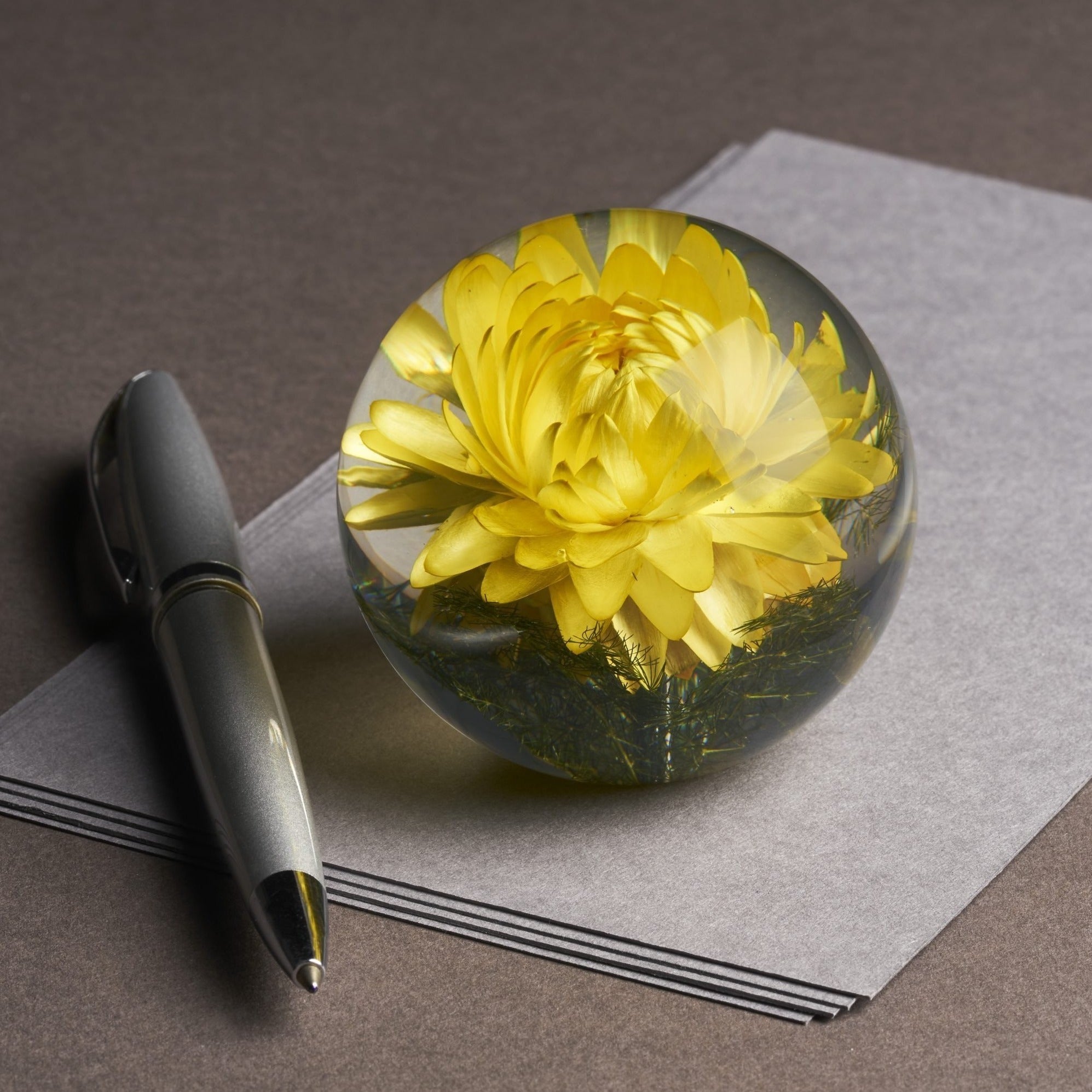 Helichrysum Yellow Paper Weight