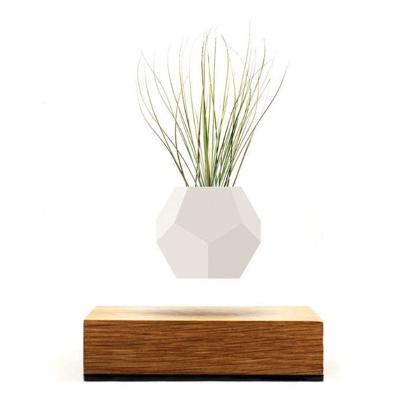 FLYTE Lyfe Levitating Planter