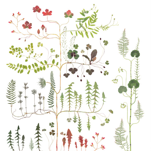 Lottas Trees - Forest Tree print - Smukt Print af Lotta Ohlsson