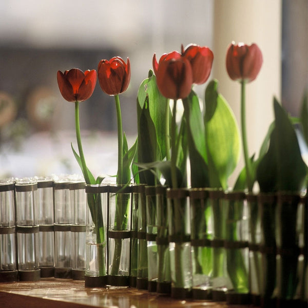 The April Vase by Tsé & Tsé Associées - Den kendte vase lavet af glasrør