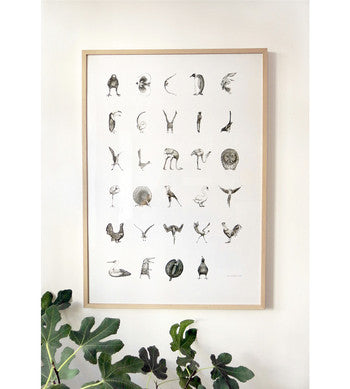 The Bird Alphabet plakat af Johanna Magoria med fugle som bostaver alfabet  køb i areastore.dk