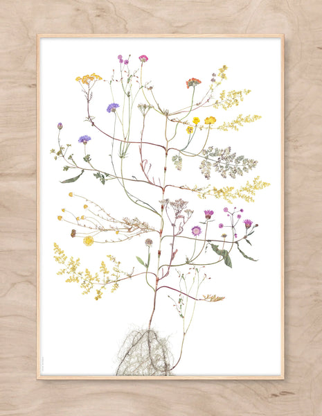 Lottas Trees - Summer Tree print - Smukt Print af Lotta Ohlsson