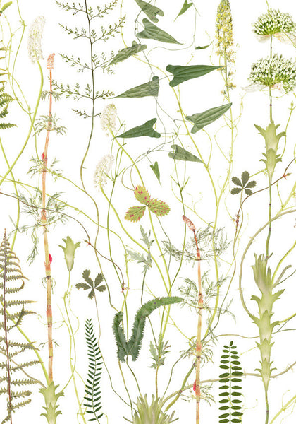 Lottas Trees - Green Flora print - Smukt Print af Lotta Ohlsson