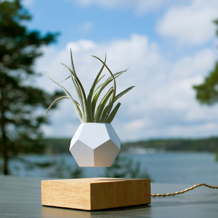 FLYTE Lyfe Levitating Planter
