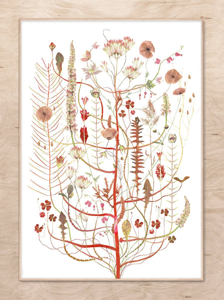 Lottas Trees - Pink Flora Print